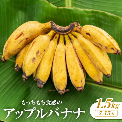 【ふるさと納税】もっちもち食感のアップルバナナ1.5kg(7～15本)【1579241】