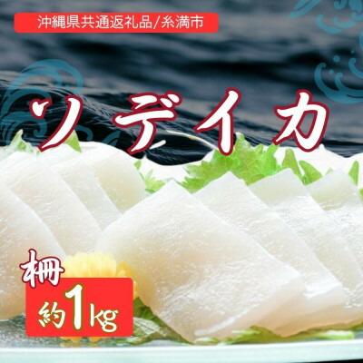 【ふるさと納税】ソデイカ(セーイカ) 1kg(2～3柵)【配送不可地域：離島】【1591583】