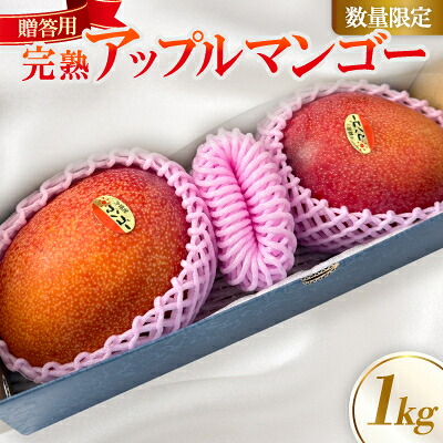 【ふるさと納税】【2026年6月中旬から順次発送】贈答用のアップルマンゴー1kg【配送不可地域：離島】【1601771】