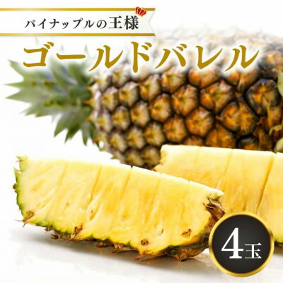 【ふるさと納税】【2025年5月以降順次発送・ハウス栽培】パイナップルの王様 ゴールドバレル4玉【配送不可地域：離島】【1608235】