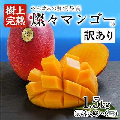 【ふるさと納税】【2025年発送・訳あり】燦々マンゴー1.5kg(3～6玉)【配送不可地域：離島】【1619685】
