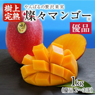 【ふるさと納税】【2025年発送・優品】燦々マンゴー1.0kg(2～3玉)【配送不可地域：離島】【1619776】