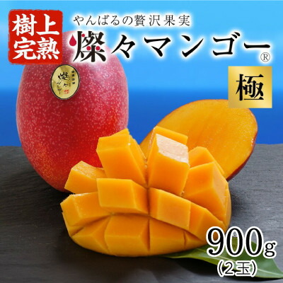 【ふるさと納税】【2025年発送・最高級 極】燦々マンゴー900g(2玉)【配送不可地域：離島】【1622439】
