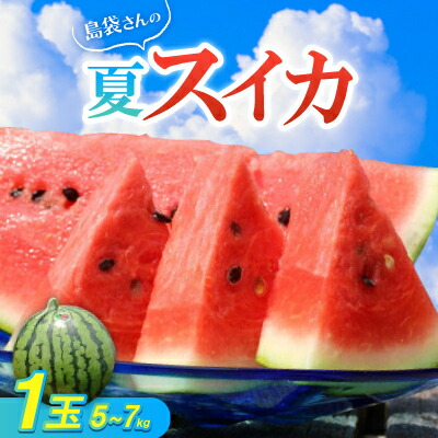 【ふるさと納税】【先行予約・2026年8月中旬から順次発送】島袋さんの夏スイカ大玉 1玉(5.0～7.0kg)_ すいか スイカ 西瓜 大玉 初夏スイカ フルーツ 甘い 国頭スイカ 島袋さん 沖縄 国頭村産 くにがみそん 国頭マージ やんばる 【配送不可地域：離島】【1628646】｜沖縄県国頭村