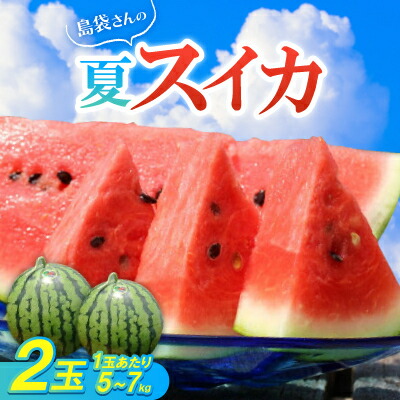 【ふるさと納税】【先行予約・2026年8月中旬から順次発送】島袋さんの夏スイカ大玉 2玉(1玉5.0～7.0kg)【配送不可地域：離島】【1628650】