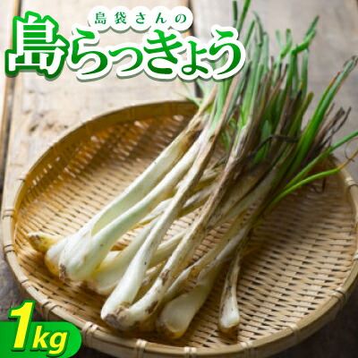 【ふるさと納税】【2026年5月上旬から順次発送】農家直送!国頭村・島袋さんの採れたて島らっきょう 1kg【1672232】