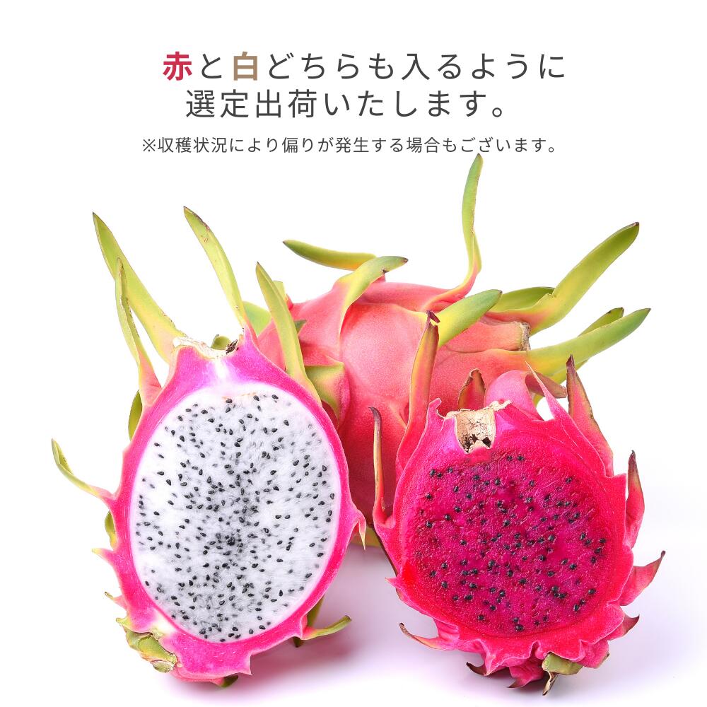 ふるさと納税 やんばる産 ドラゴンフルーツ 赤 白 約2kg 4 6玉 8月 11月順次発送予定 Aplusfinance Blog Com