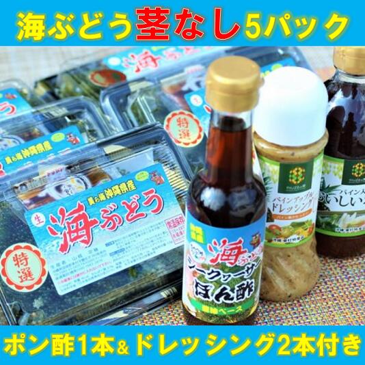 【ふるさと納税】【美ら海沖縄県東村産】茎なし海ぶどう５パックセット（ぽん酢＆ドレッシング付き）