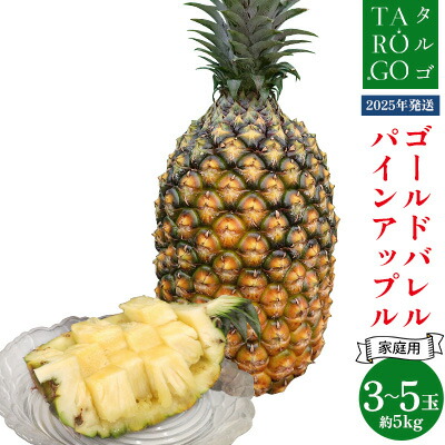 【ふるさと納税】【規格外・家庭用】TARUGO　ゴールドバレルパイン　約5kg（3～5玉）2025年発送 家庭用 パイン パインアップル パイナップル タルゴ タルゴゴールド ゴールドバレル 葉ナシ ご自宅用 訳あり 国産パイン 規格外 生産者応援 農家応援 高級フルーツ 大玉 国産画像