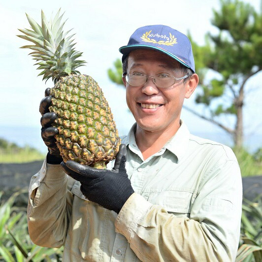 ふくしま農園の自信作 ゴールドバレル ５ ６玉 ９kg 21年7月中旬 発送開始予定 ふるさと納税 沖縄県東村