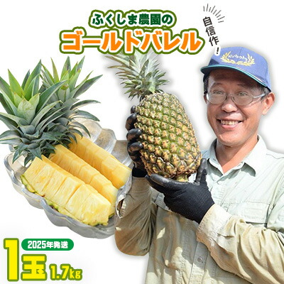 【ふるさと納税】ゴールドバレル【パインアップル】(1玉）約1.7kg　ふくしま農園の自信作！◆2025年発送◆ ゴールドバレル パイナップル 高品質 新鮮 ジューシー 希少 高い糖度 大玉 甘い トロピカル パイン 生産量日本一 高級フルーツ 南国フルーツ 国産フルーツ 完熟