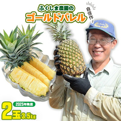 【ふるさと納税】ゴールドバレル【パインアップル】(2玉）約3.5kg　ふくしま農園の自信作！◆2025年発送◆ ゴールドバレル パイナップル 高品質 新鮮 ジューシー 希少 高い糖度 大玉 甘い トロピカル パイン 生産量日本一 高級フルーツ 南国フルーツ 国産フルーツ 完熟
