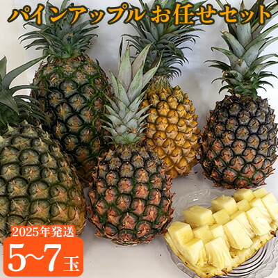 【ふるさと納税】東村産パインアップルお任せセット2（5～7玉）【2025年発送】 パイン パインアップル パイナップル スナックパイン ゴールドバレル ピーチパイン サンドルチェ ホワイトココ セット おまかせ 生産量日本一 国産 国産パイン ジューシー 南国 トロピカル 予約