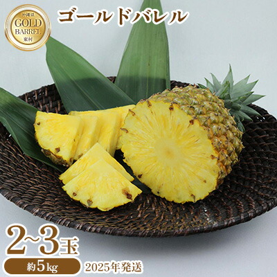 【ふるさと納税】東村産 ゴールドバレルパイン2（2～3玉・約5kg）【2025年発送】 ゴールドバレル パインアップル パイナップル パイン 国産パイン 国産 生産量日本一 ゴールドバレルパイン 甘い おいしい 希少 バレル 人気 ジューシー 南国 トロピカル 予約 先行予約 沖縄