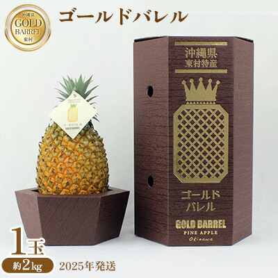 【ふるさと納税】東村産 ゴールドバレルパイン1（1玉・約2kg）【2025年発送】 ゴールドバレル パインアップル パイナップル パイン 国産パイン 国産 生産量日本一 ゴールドバレルパイン 甘い おいしい 希少 バレル 人気 ジューシー 南国 トロピカル 予約 先行予約 沖縄 東村
