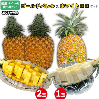 【ふるさと納税】国産パインの食べ比べ！ゴールドバレル（2玉）&ホワイトココ（1玉）セット【2025年発送】 パイン パインアップル パイナップル ゴールドバレル ホワイトココ 数量限定 食べ比べ お試し ジューシー 希少 生産量日本一 国産 国産パイン おいしい 南国