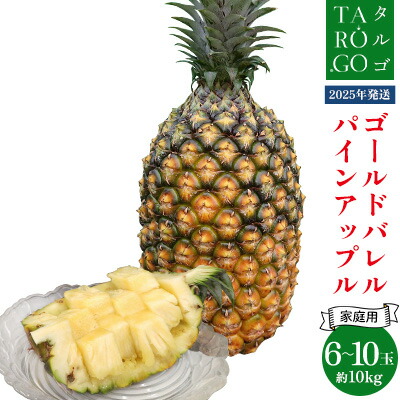 【ふるさと納税】【規格外・家庭用】TARUGO　ゴールドバレルパイン　約10kg（6～10玉）2025年発送 家庭用 パイン パインアップル パイナップル タルゴ タルゴゴールド ゴールドバレル 葉ナシ ご自宅用 訳あり 国産パイン 規格外 生産者応援 農家応援 高級フルーツ 大玉 国産