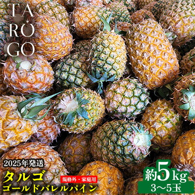 【ふるさと納税】【規格外・家庭用】TARUGO　ゴールドバレルパイン　約5kg（3～5玉）2025年発送 家庭用 パイン パインアップル パイナップル タルゴ タルゴゴールド ゴールドバレル 葉ナシ ご自宅用 訳あり 国産パイン 規格外 生産者応援 農家応援 高級フルーツ 大玉 国産画像