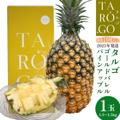 【ふるさと納税】TARUGO　贈答用ゴールドバレルパイン　1玉（1.3～1.5kg）2025年発送 糖度16度以上 パイン パインアップル パイナップル タルゴ タルゴゴールド 贈答用 化粧箱 贈り物 ゴールドバレル 国産パイン 甘い 香り 高品質 高級フルーツ 大玉 国産 やんばる 沖縄 東村