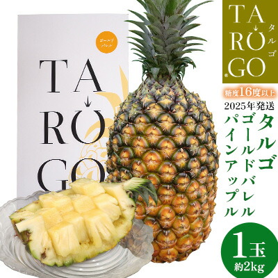 【ふるさと納税】TARUGO　贈答用ゴールドバレルパイン　1玉（約2kg）2025年発送 糖度16度以上 パイン パインアップル パイナップル タルゴ タルゴゴールド 贈答用 化粧箱 贈り物 ゴールドバレル 国産パイン 甘い 香り 高品質 高級フルーツ 大玉 国産 やんばる 沖縄 東村