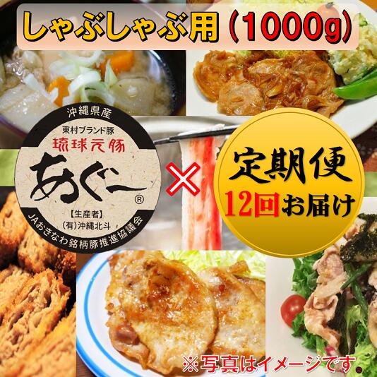 最新人気 定期便 東村ブランド豚 あぐー豚しゃぶしゃぶ用 1000g 12回 沖縄県東村 50 Off Vancouverfamilymagazine Com