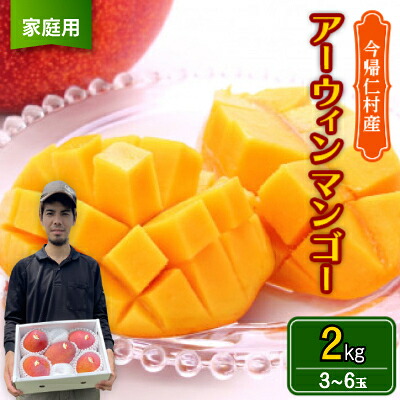 【ふるさと納税】【2026年6月から順次発送・家庭用】仲本マンゴー園のアーウィンマンゴー2kg【配送不可地域：離島】【1439397】
