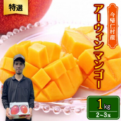 【ふるさと納税】【2026年6月から順次発送・特選】仲本マンゴー園のアーウィンマンゴー1kg(2～3玉)【配送不可地域：離島】【1439428】