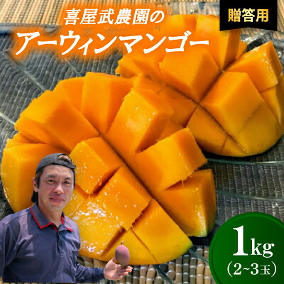 【ふるさと納税】【先行予約・2026年6月から順次発送・贈答用】喜屋武農園のアーウィンマンゴー1kg(2～3玉)【配送不可地域：離島】【1694604】