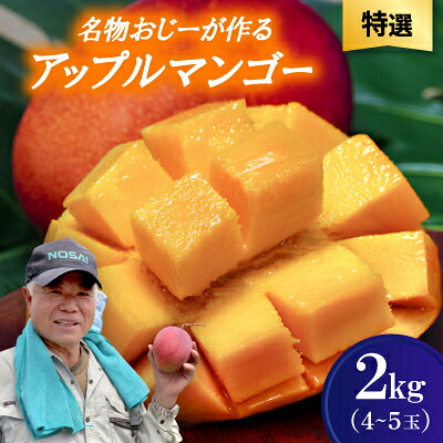 【ふるさと納税】【2026年7月から順次発送・特選】名物おじーが作るアップルマンゴー2kg(4～5玉)【配送不可地域：離島】【1694693】