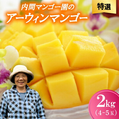 【ふるさと納税】【2026年7月から順次発送・特選】内間マンゴー園のアーウィンマンゴー2kg(4～5玉)【配送不可地域：離島】【1695328】