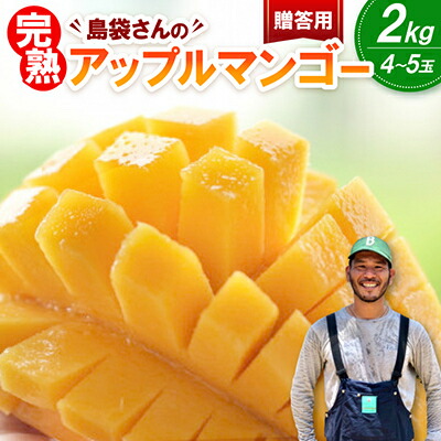 【ふるさと納税】【2026年7月上旬から順次発送・贈答用】島袋さんの完熟アップルマンゴー 2kg(4～5玉)【配送不可地域：離島】【1726284】