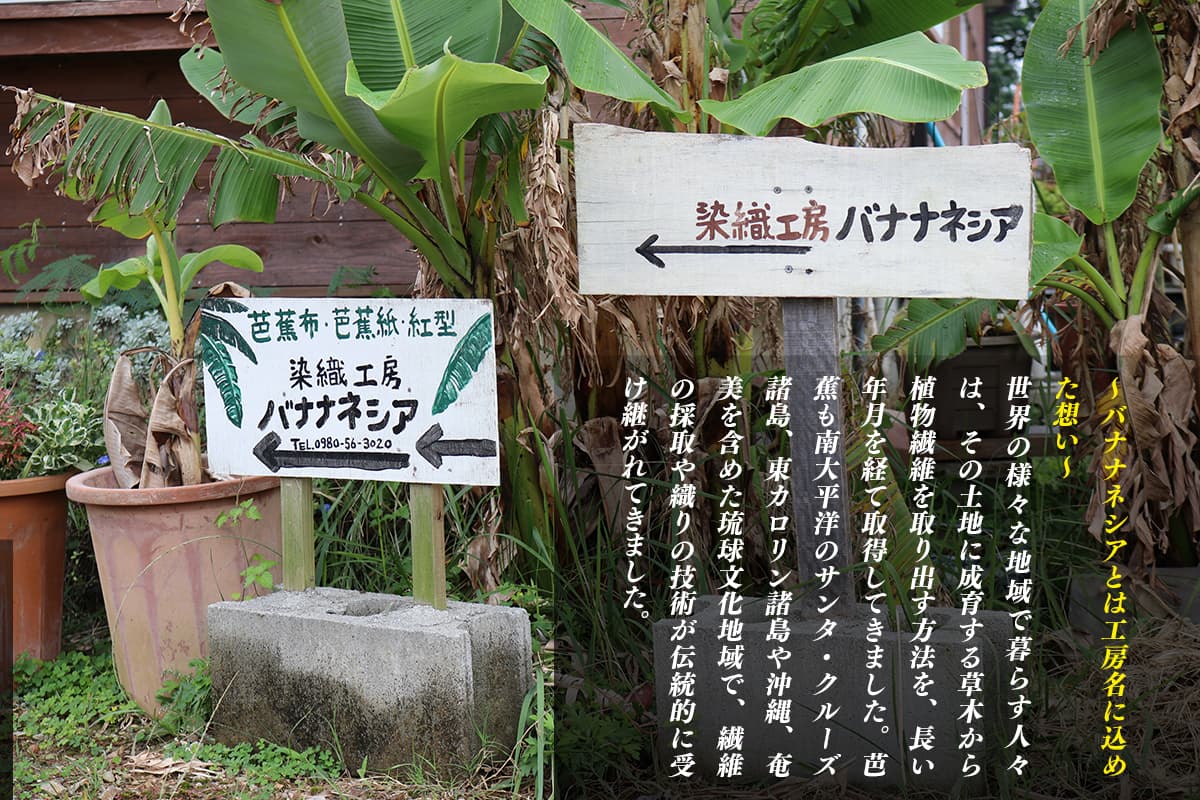 ふるさと納税 暖かさのお出でになる芭蕉新紙名刺 100枚第一歩 Colegiovictorhugo Cl