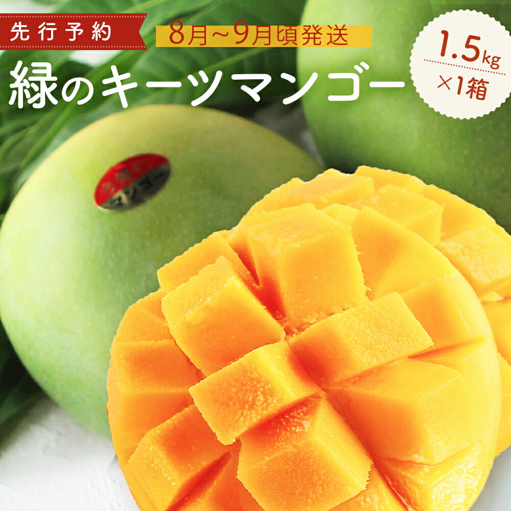 【ふるさと納税】緑のキーツマンゴー1.5kg以上【2025年8～9月頃発送】生産者直送