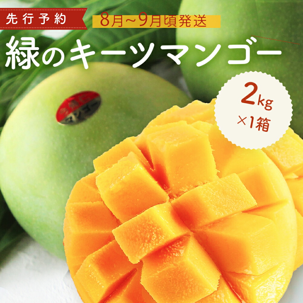 【ふるさと納税】緑のキーツマンゴー2kg以上【2025年8～9月頃発送】生産者直送