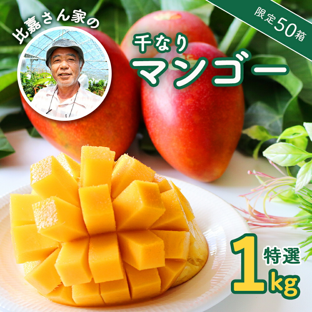 【ふるさと納税】【限定50箱】比嘉さん家の千なりマンゴー(特選・1kg) 【2025年7月～8月上旬頃発送】生産者直送