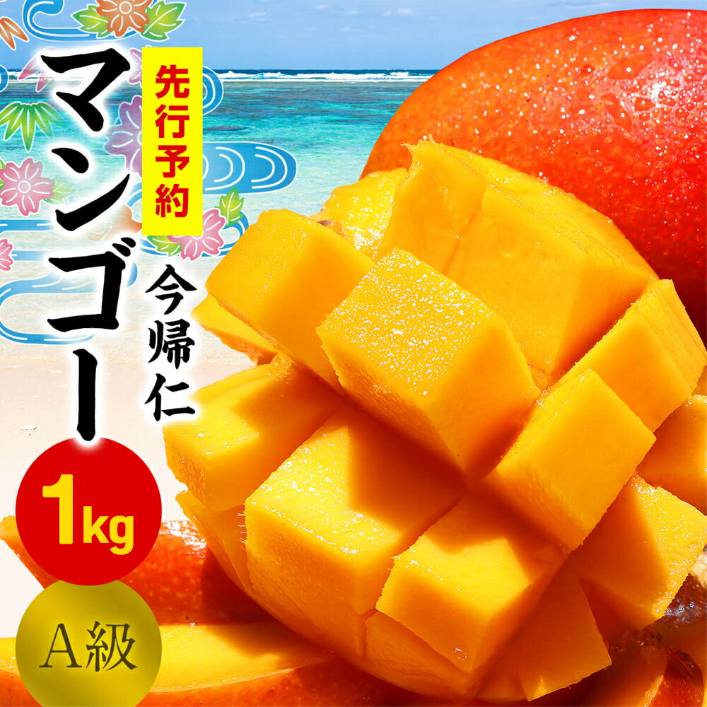 【ふるさと納税】 今帰仁マンゴーA級１kg以上【先行予約】【2025年7月～8月上旬頃発送】生産者直送 国産 沖縄 アップルマンゴー フルーツ 果物