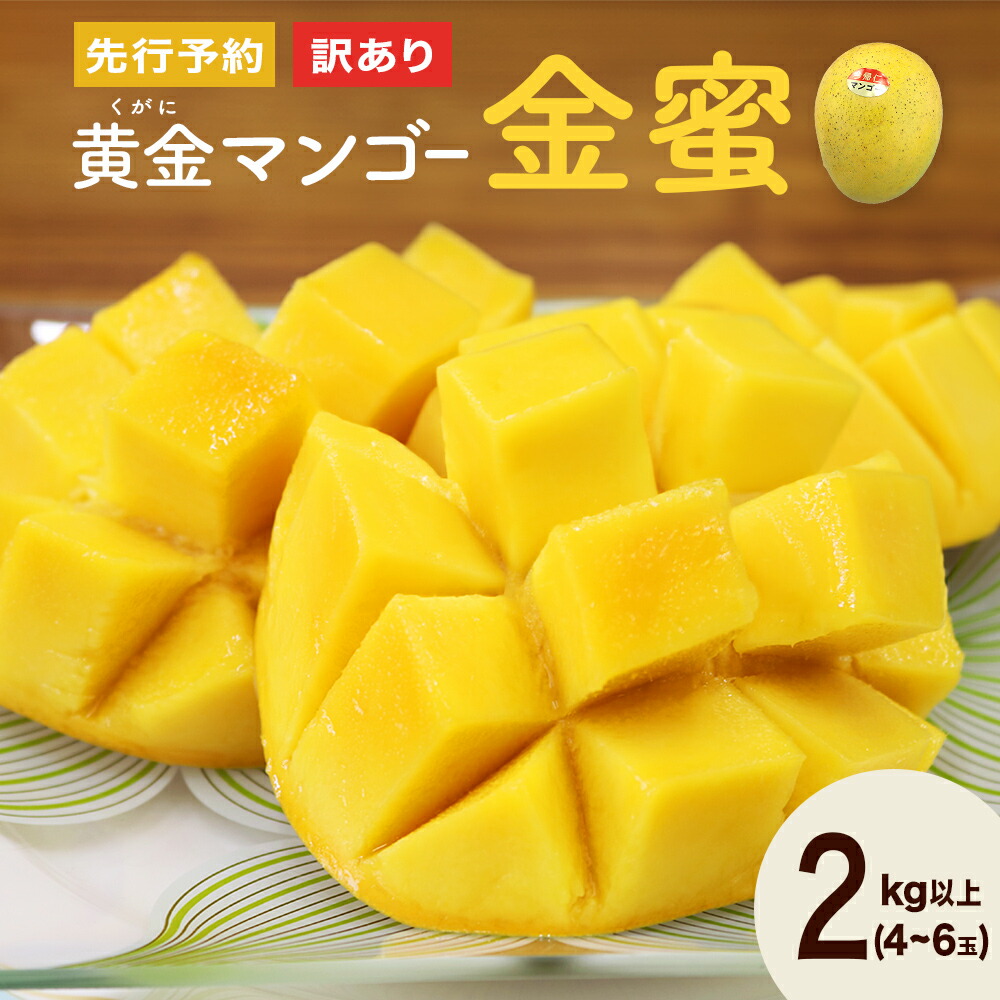 【ふるさと納税】 訳あり　黄金(くがに)マンゴー「金蜜」(2kg) 【2025年７月中旬～８月中旬頃配送】 生産者直送