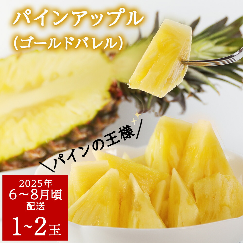 【ふるさと納税】 【2025年6～8月頃配送】今帰仁産パインアップル（ゴールドバレル）1.8kg　1～2玉