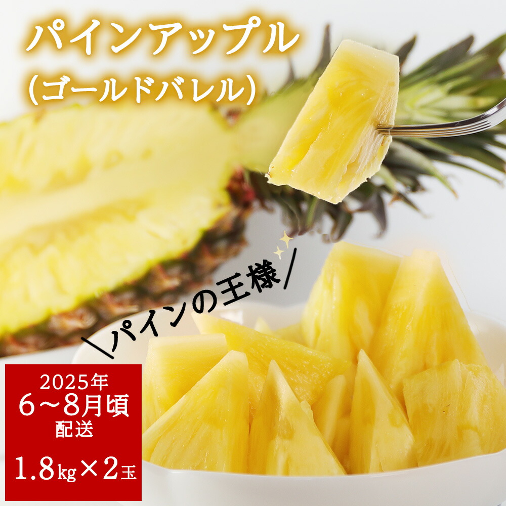 【ふるさと納税】 【2025年6月～8月頃配送】今帰仁産パインアップル（ゴールドバレル）1.8kg×2玉