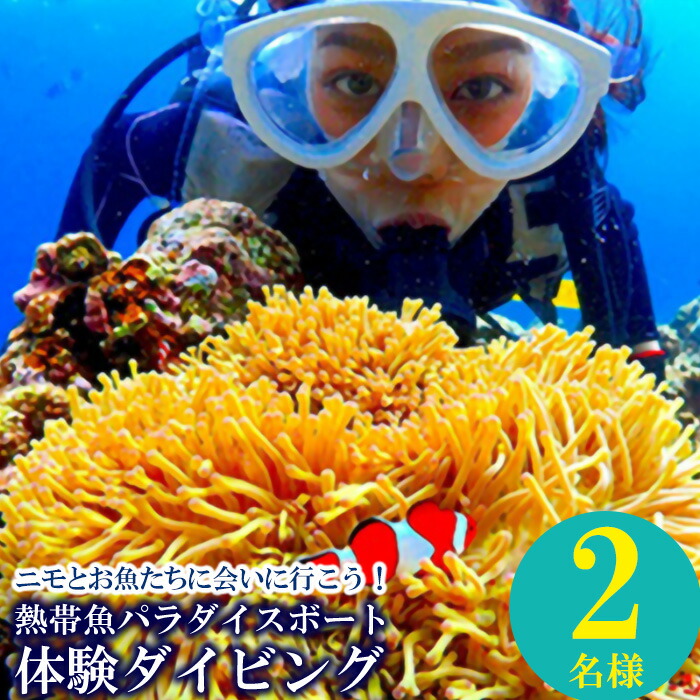 900円 超美品の ニモとお魚たちに会いに行こう 熱帯魚パラダイスボート体験ダイビング2名様