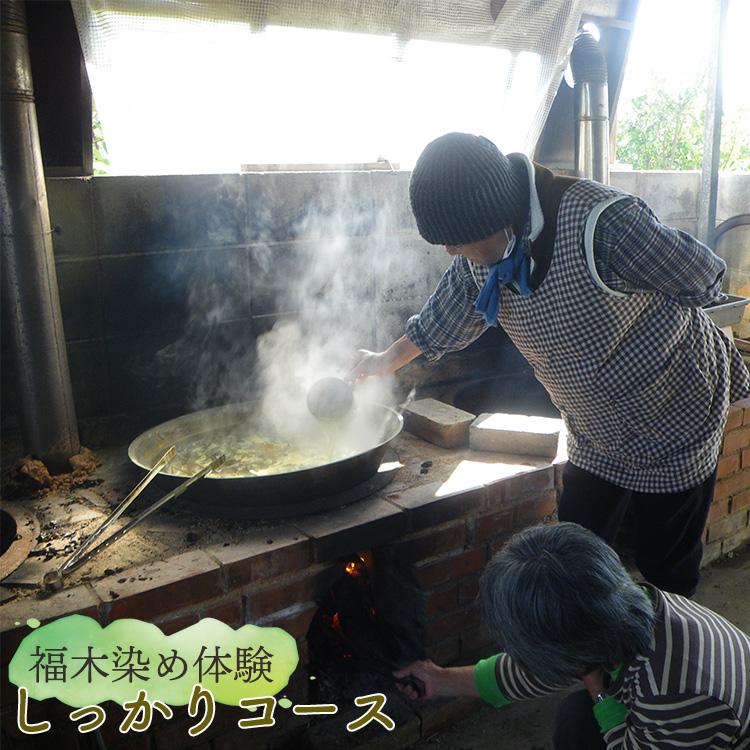 【ふるさと納税】福木染めくぐり抜ける・しっかり授業計画