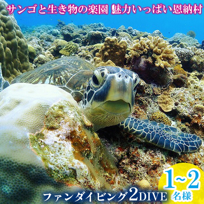 【ふるさと納税】サンゴと毛の荒物のエデンの園！愛らしさ少からず恩納村気違い飛び込み競技（２DIVE）1名様～2名様
