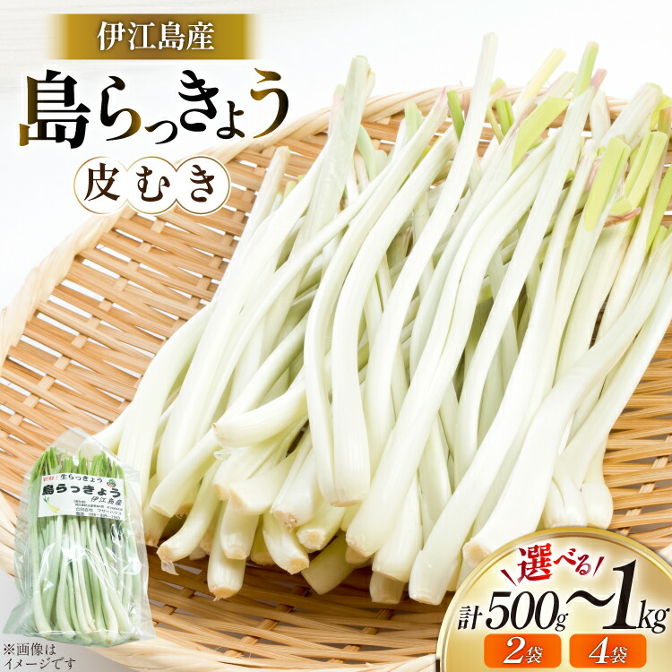 楽天市場】【ふるさと納税】 【期間限定発送】 島らっきょう 生 皮むき