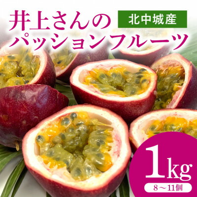 【ふるさと納税】【2026年3月より順次発送】井上さんのパッションフルーツ約1kg(8～11個)【1480404】