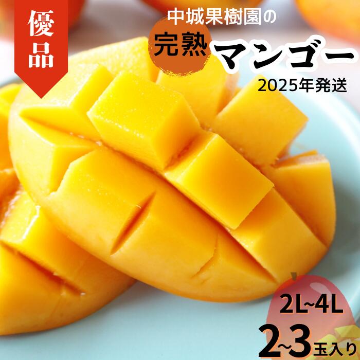 【ふるさと納税】＜2025年発送＞中城果樹園の完熟マンゴー≪優品≫ 1kg以上　沖縄 特産品 完熟マンゴー フルーツ 果物 デザート スイーツ ジュース スムージー アイス シャーベット 贈答 贈り物 プレゼント お土産 お見舞い お中元 ギフト 数量限定