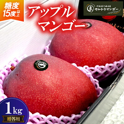 【ふるさと納税】【2026年6月下旬から順次発送】マルトウマンゴーの贈答用アップルマンゴー1kg【配送不可地域：離島】【1670263】