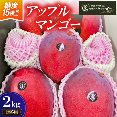 【ふるさと納税】【2026年6月下旬から順次発送】マルトウマンゴーの贈答用アップルマンゴー2kg【配送不可地域：離島】【1670268】