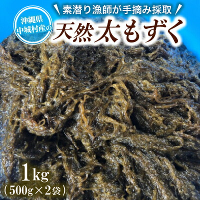 【ふるさと納税】【数量限定・産地直送】素潜り漁師が手摘み採取!幻の天然もずく 塩蔵1kg(500g×2袋)【配送不可地域：離島】【1672256】