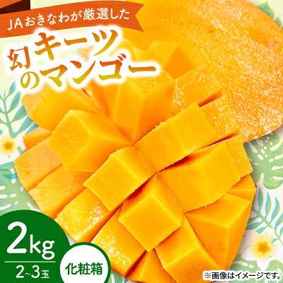 【ふるさと納税】【2026年8月から順次発送・化粧箱】JAおきなわ厳選した幻のキーツマンゴー2kg(2～3玉)【配送不可地域：離島】【1681785】 17,040円