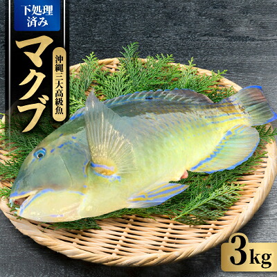 【ふるさと納税】沖縄三大高級魚 マクブ 3kg(下処理済み・冷蔵発送)【配送不可地域：離島】【1726863】
